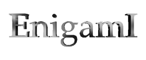EnigamI(R), Inc. Rotating Logo (gif animation)